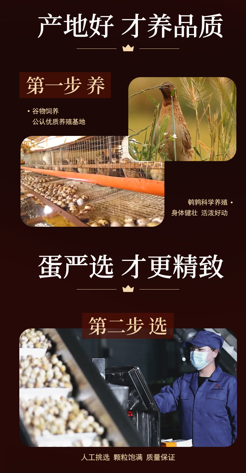 武冠 去壳卤鹌鹑蛋 60枚 3口味可选 图5