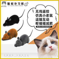 Cat Toy Small Rat Wireless Remote Control Emulation Electric Plush Mouse Teasing Cat God-Ware Pet Self-Hi Kitty Supplies