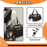 Compagne Color-Black и белая клетчатая собака