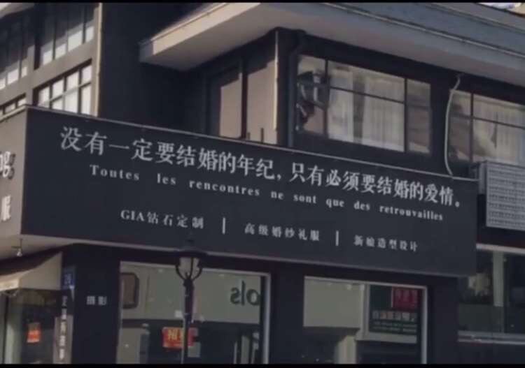 散养的猫
