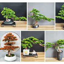 Simulation plant bonsai welcome pine plant ornaments model room living room porch office desktop decorations
