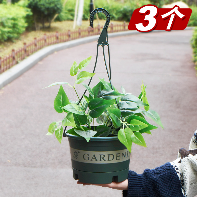Gold coin exchange for hanging basket flower pot hanging orchid pot hanging hanging wall-mounted plastic hanging basket green dill ivy potted plant