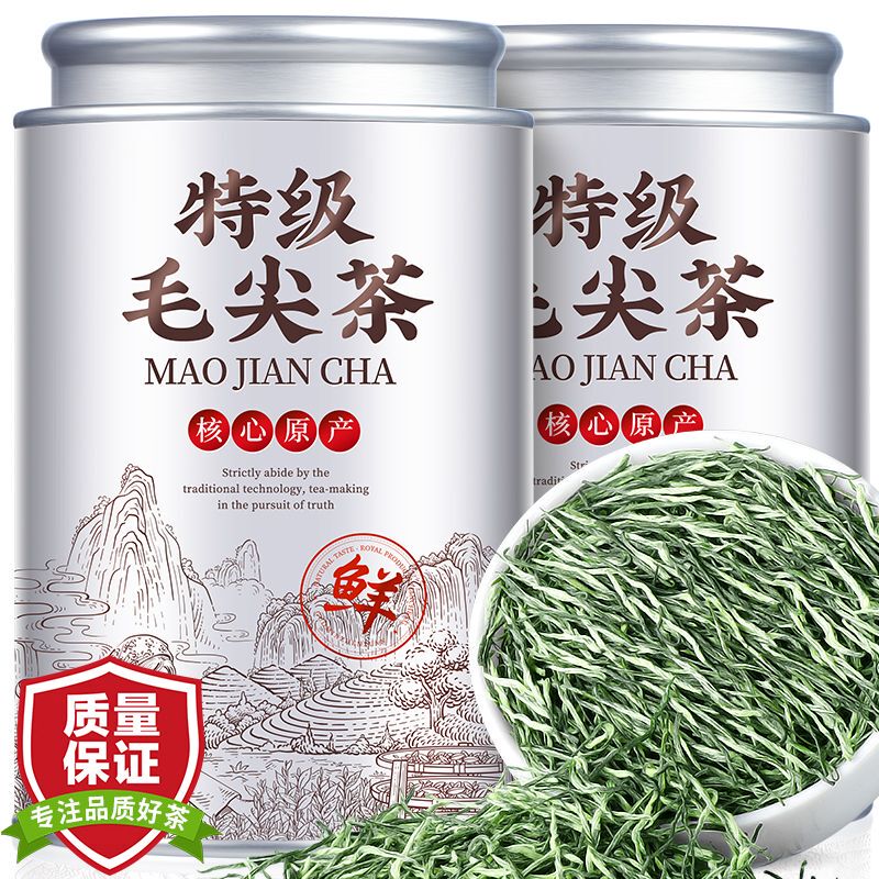 Tangyi 2026 New Tea Premium Maojian Tea Strong Aroma Green Tea High Mountain Cloud Mist Green Tea Loose Leaf 500g