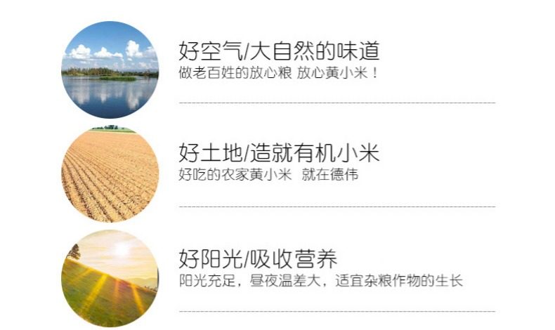 德偉有機黃小米