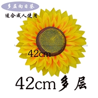 42 -сантиметровый подсолнух