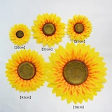 Детский день танцевального представления на церемонию открытия игр подсолнечника.