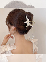 Lifelike ~ Super Fairy Butterfly Tassel Clip High-end Autumn and Winter Hair Clip for Women Back of Head Shark Clip Headgear