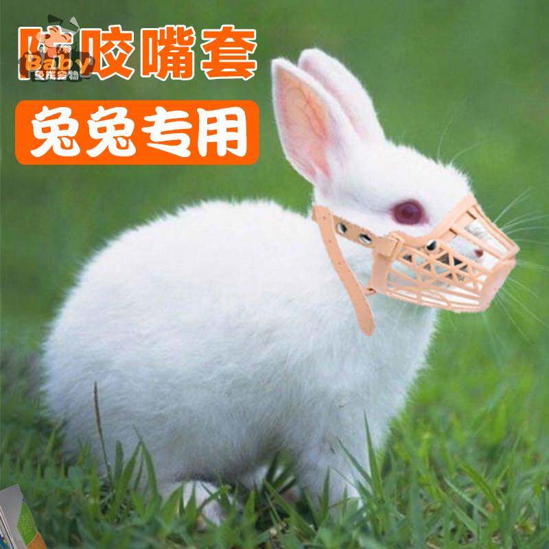 💖兔子防咬神器,保护电线的不二之选💪-嘴套-淘宝好物网