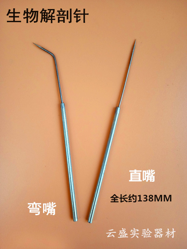 包邮 昆虫解剖针探针直尖中学生物实验 教学解剖工具专业标本制作