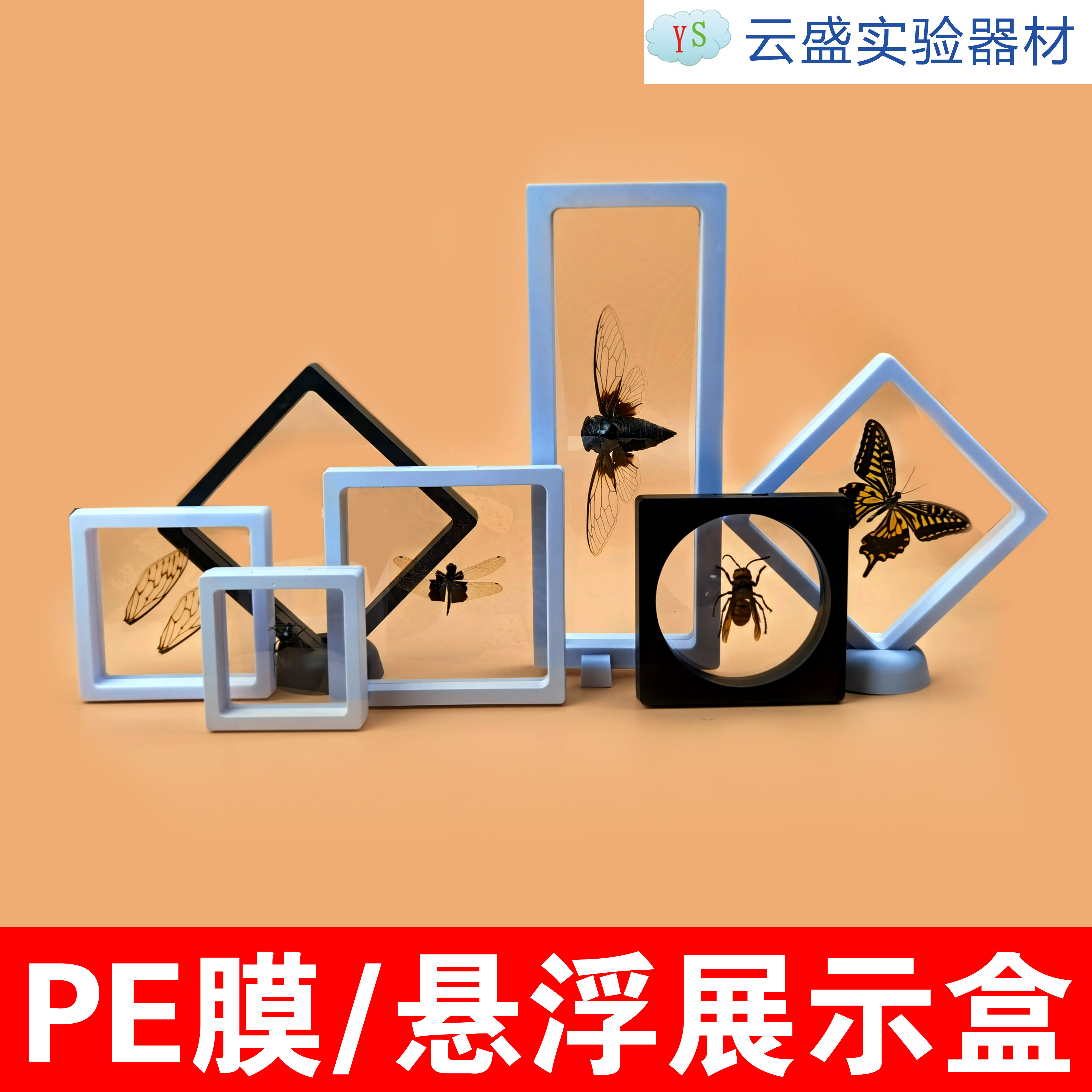 悬浮框 展示盒 弹力膜盒 PE膜  透明架  蝴蝶昆虫塑料 收纳包装盒