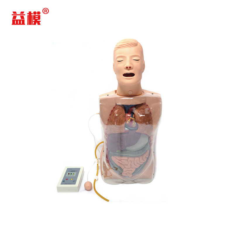 益模  多功能透明洗胃训练模型 鼻胃管理置入模拟人 鼻饲洗胃术胃部止血胃镜检查操作教具 吸痰吸氧护理人