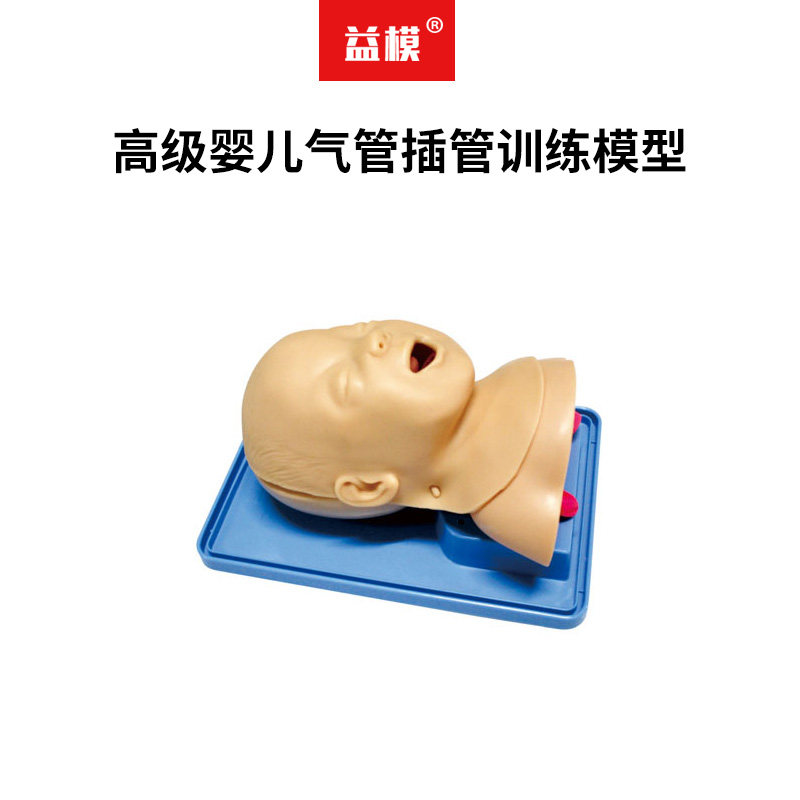 益模   高级婴儿气管插管训练模型  舌 口咽  会厌 喉 声带及气管真实解剖解构 小儿口鼻气管插管模拟人