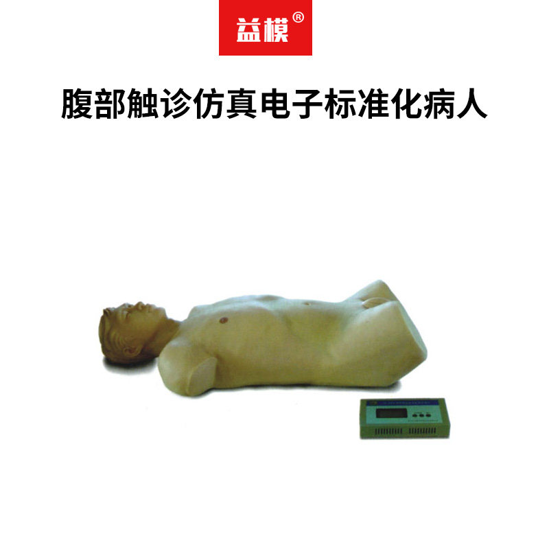 益模   腹部触诊仿真电子标准化病人 模拟人腹部触诊及 体格检查模型