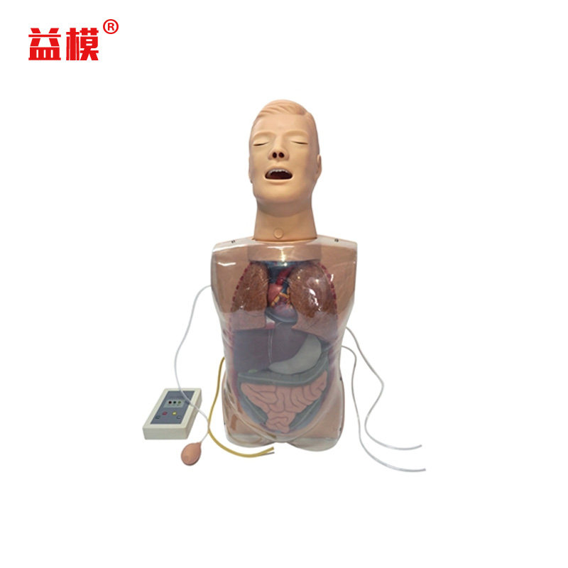益模  三腔二囊管训练模型 胃底压迫止血 鼻饲洗胃术胃镜检查气管切开操作模拟人 透明解剖教具