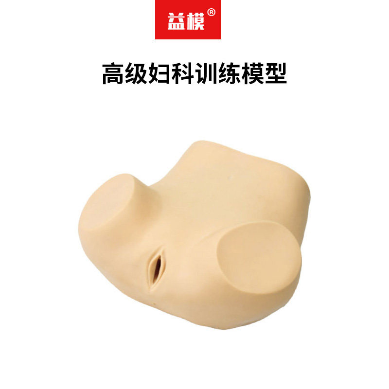 益模  高级妇科综合检查训练模型 腹腔镜检查及妇婴训练模型子宫触诊视诊