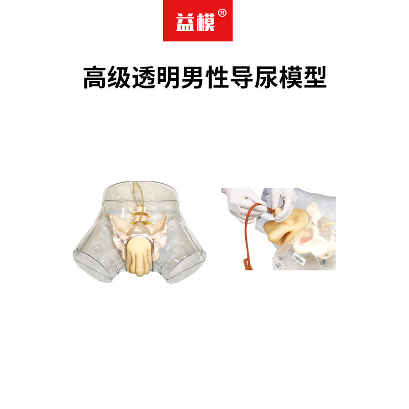 益模   高级透明男性导尿模型 练习插入导管男性导尿插管操作模型医学用技能培训模型