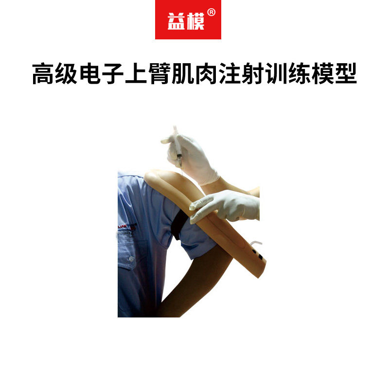 益模  高级电子上臂肌肉注射训练模型