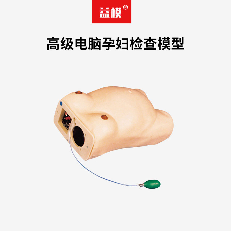 益模  高级电脑孕妇检查模型  产检模型产妇检查模拟模型