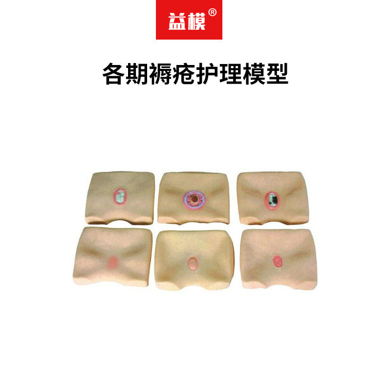 益模  各期褥疮护理模型