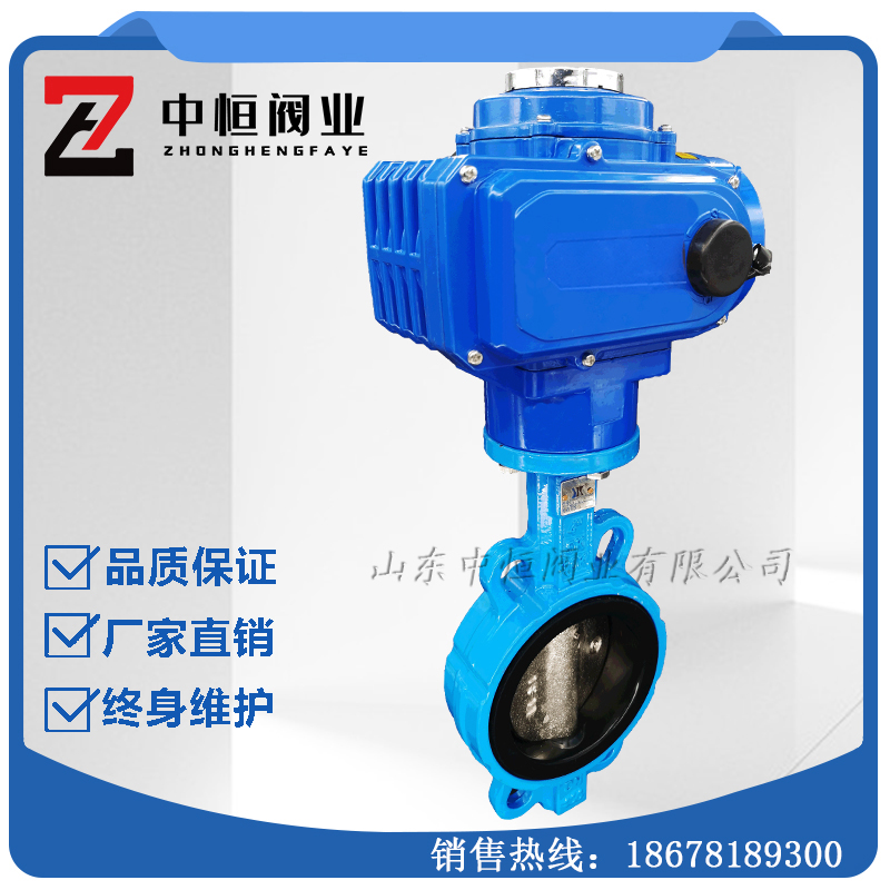 Electric butterfly valve D971X-16 electric clamp butterfly valve rubber lined soft seal PTFE ductile iron 40-500