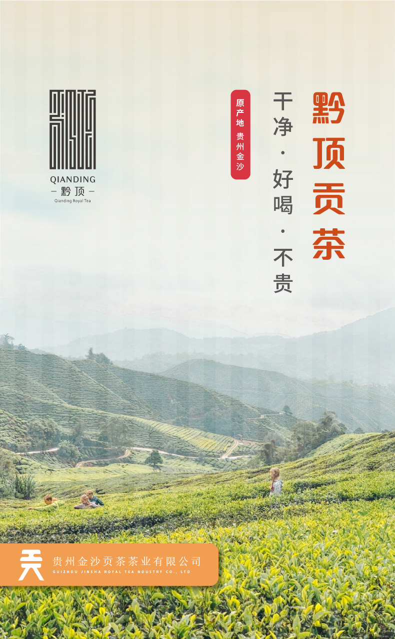 国家地标产品，100g 金沙贡茶 黔顶2021年一级红茶茶叶 12.9元包邮 值值值-买手聚集的地方