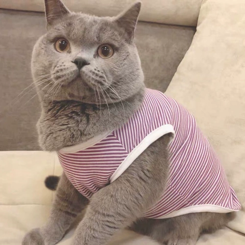 Тонкий весенний шнурок-держатель, летняя милая майка топ без рукавов