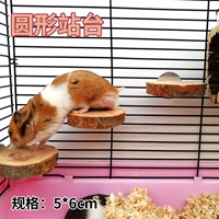 Круглая платформа (2)