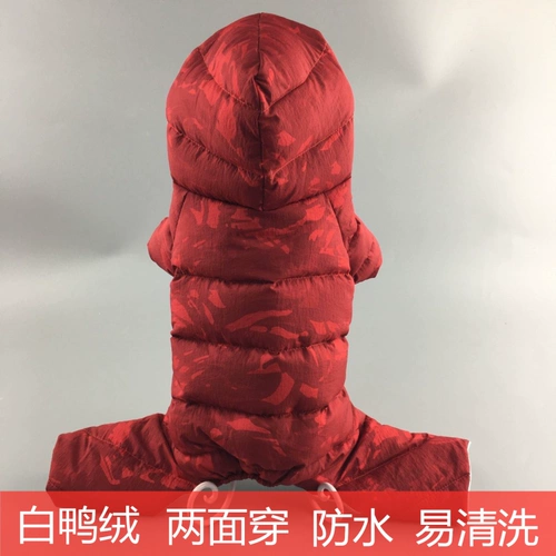 Pet Winter Tide Brand Brand Blought Olding Collesed Jiji Doll Corki VIP Teddy Dog Four -legged Down Down ///