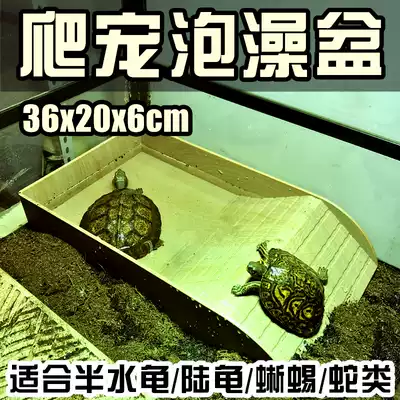 Tortoise reptile bath basin Tortoise lizard Stepped climbing basin Climbing pet yellow edge oversized bath basin