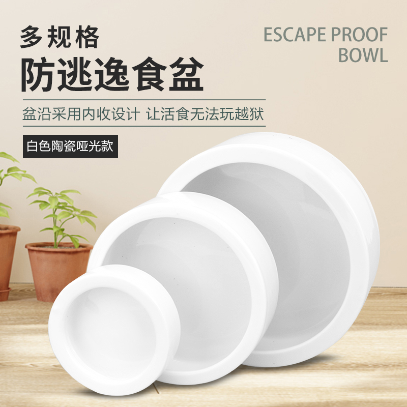 Reptile escape-free food basin anti-escape climbing lizard Lizard Keeper mane Lions Bread Worm barley Words Ceramics SuperSUDO-Taobao