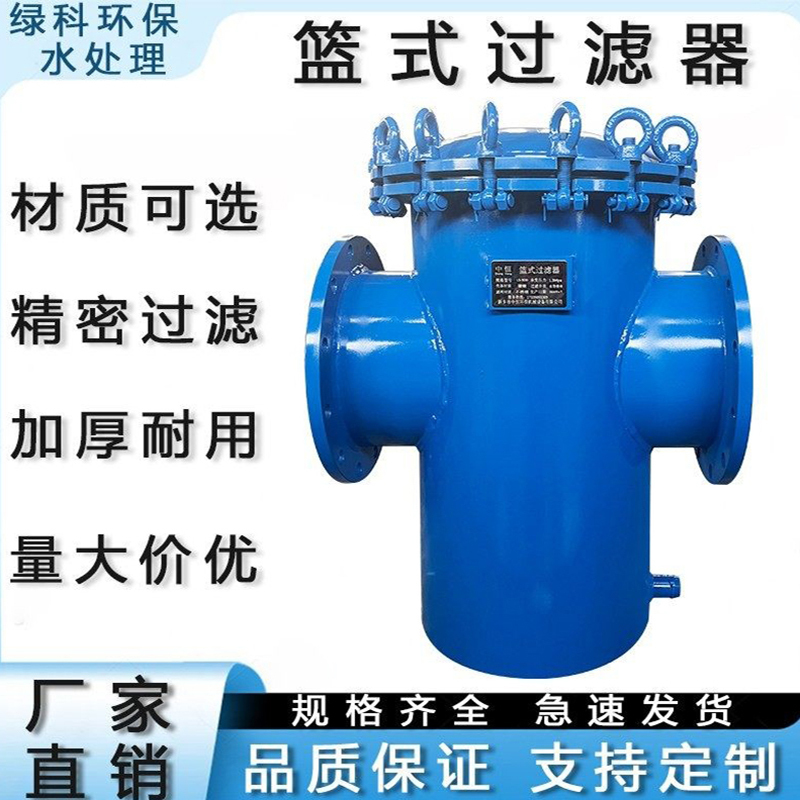 Blue Filter Stainless Steel 304316L Carbon Steel Basket Type Dirt Remover Pipe Filter Hair Collector
