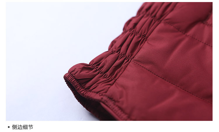 Débardeur hiver femme BOSIDENG    en Polyester - Ref 3176722 Image 21