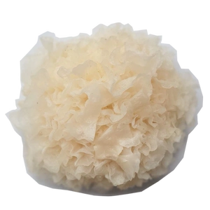SF Fresh Tremella 6 Box Hutian Specialty Live Свежий снежный ухо влажный белый деревянный ухой клейкий ухой для ушей.