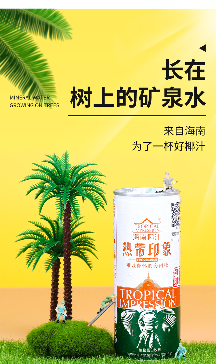 海南热带印象椰汁245ml*12瓶