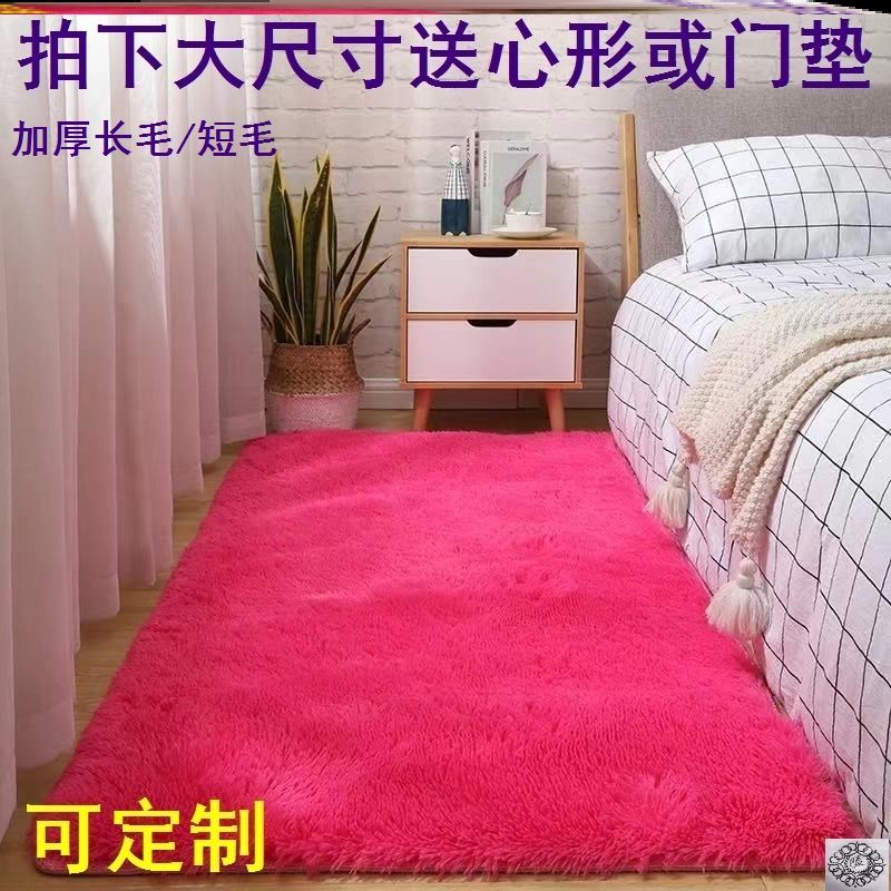 Carpet on the ground bedside front and rear bedroom net red girl summer rental room decoration children's room bay window mat