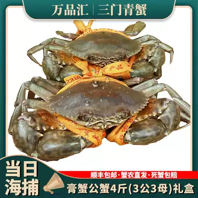 Sanmen green crab fresh extra large extra large cream crab Big green crab crab mother meat crab seafood Wild authentic in Taizhou, Zhejiang