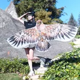 Китайский воздушный змей, орел, популярно в интернете, делается под заказ