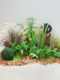 Large Indoor Artificial Green Plant Landscaping, Realistic Plant Decorations, Popular Photo Spot, Faux Flower and Plant Combination Display