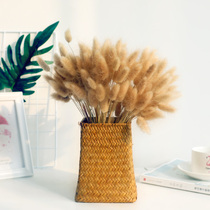 Natural rabbit tail grass Dried flowers Eternal flowers True flowers Bouquet Forest department Literature and art Nordic vase decorative ornaments Flower arrangement