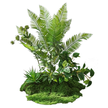 Simulated moss green plant landscaping high-end light luxury micro-landscape indoor fake plants floor-standing bionic decoration bonsai