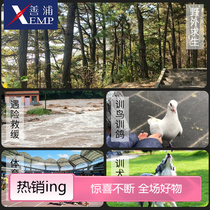 Whistle C1P50-whistle high-pitched metal survival whistle whistle musical instrument outdoor fire alarm whistle