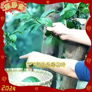 绿柚叶好运香水喷雾测评|男女通用持久留香的秘密武器 _香水_淘宝美妆网