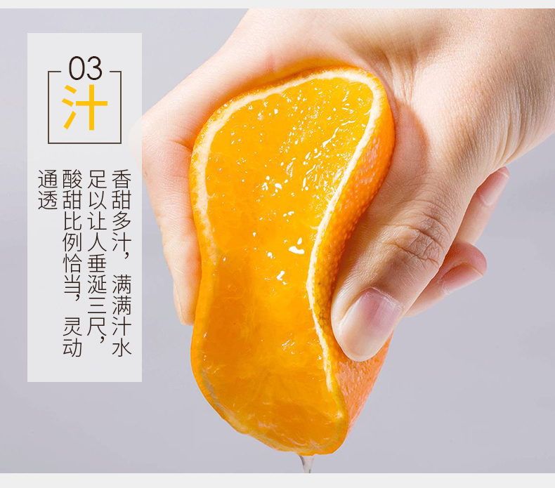 四川爱媛38号果冻橙 净重5斤 图4