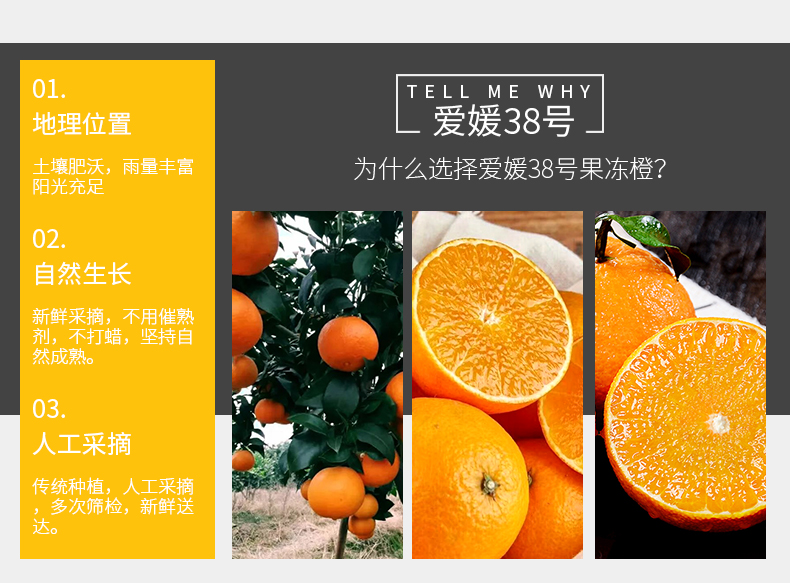 四川爱媛38号果冻橙 净重5斤 图1