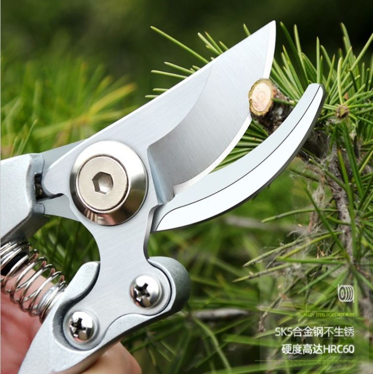 Labor saving branch mulberry tree flowers grass pruning shears plant small scissors flowers fruit trees repair young branches shears planting flowers