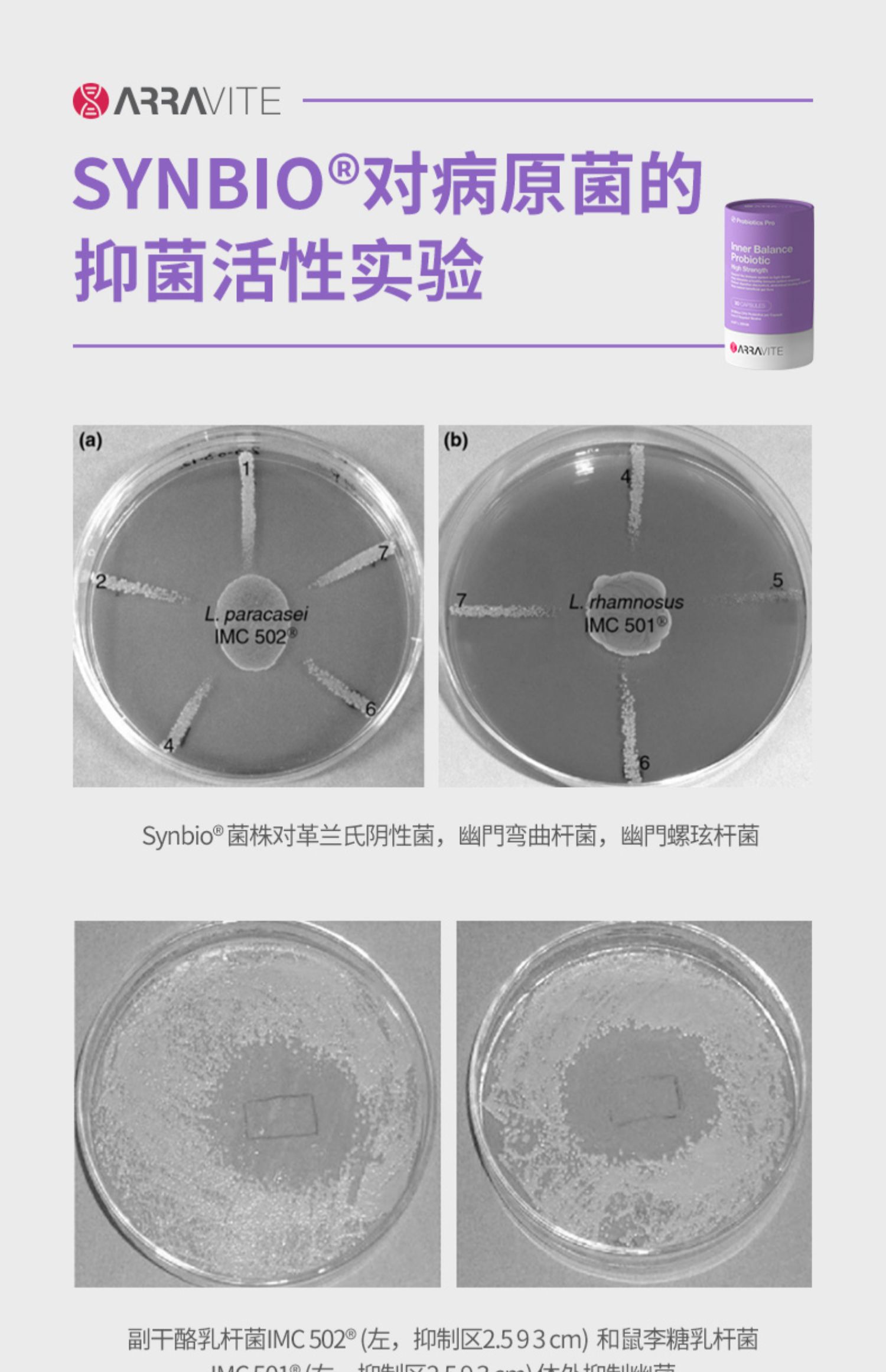 澳洲调理肠胃罗伊氏乳杆菌粉