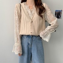 Autumn 2020 new retro French lace V-neck very fairy outer wear thin short knitted vest vest women