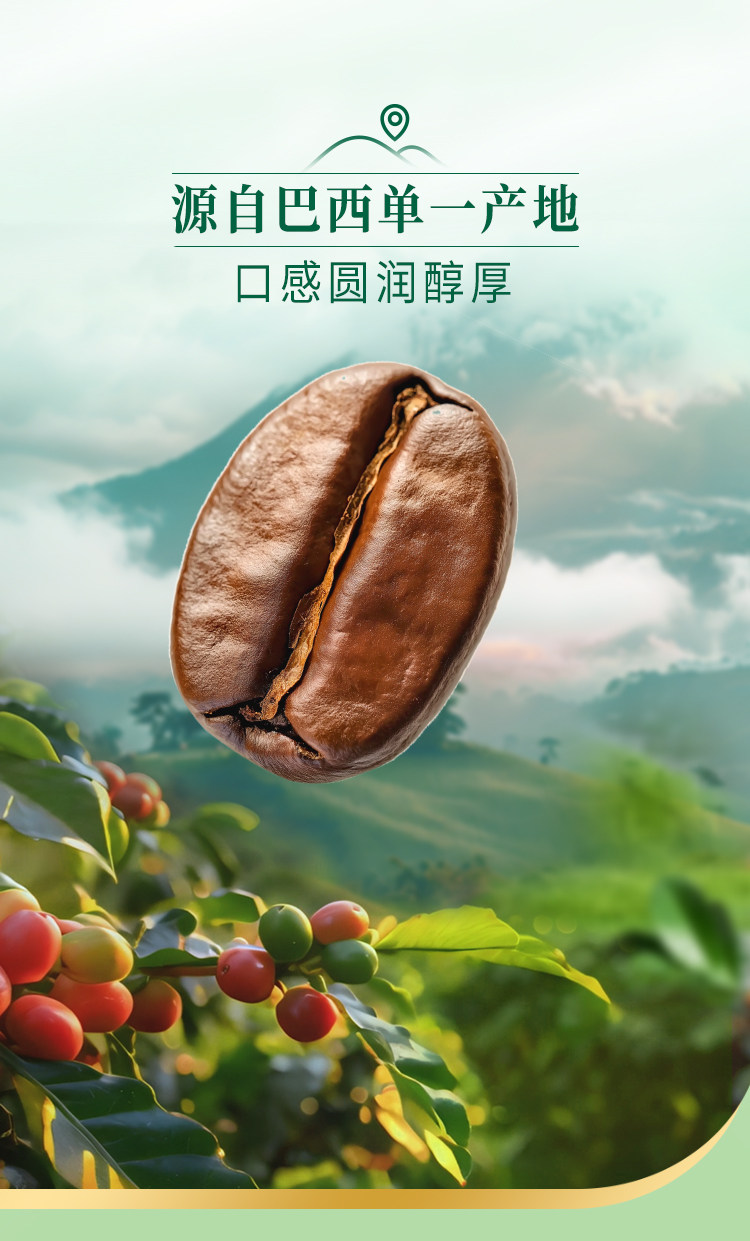 安享好物 安享D级即饮咖啡-星巴克茉莉拿铁 国标