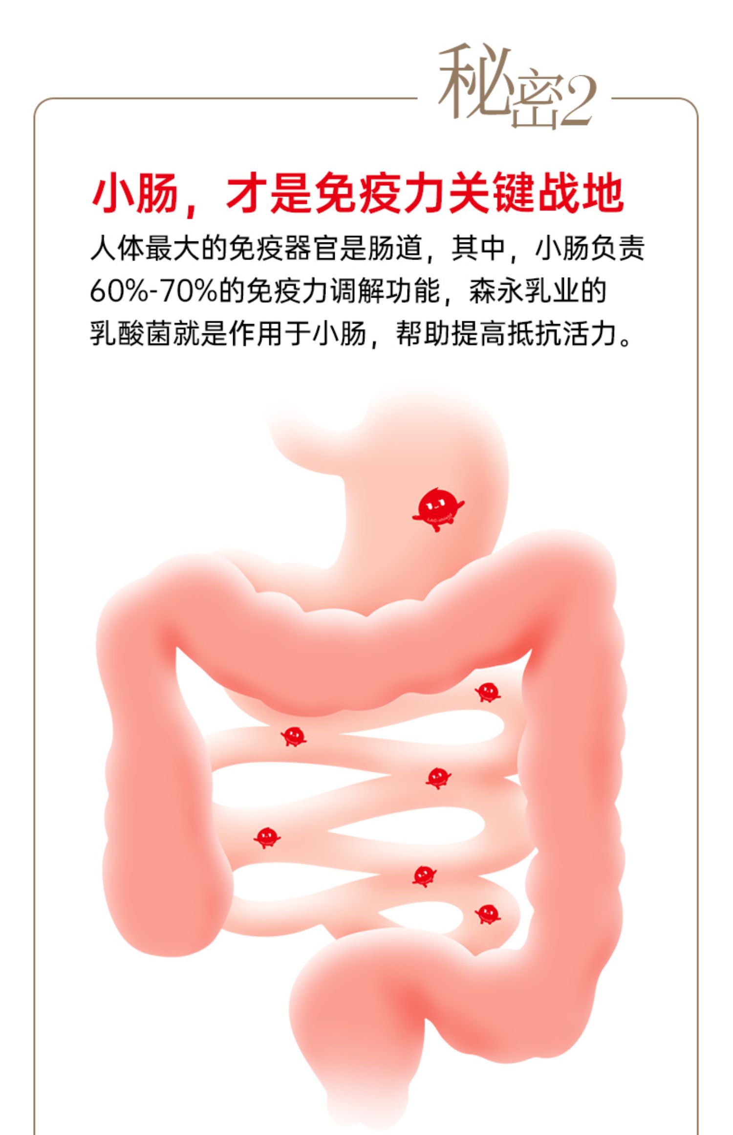 【拍2件】日本进口森永乳酸菌奶片零食糖果