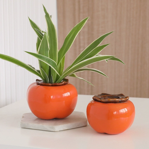 Творческая хурна зеленый укроп гидрофобная ваза контейнер